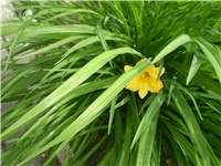 d47fbd0d-Picture 5923.jpg